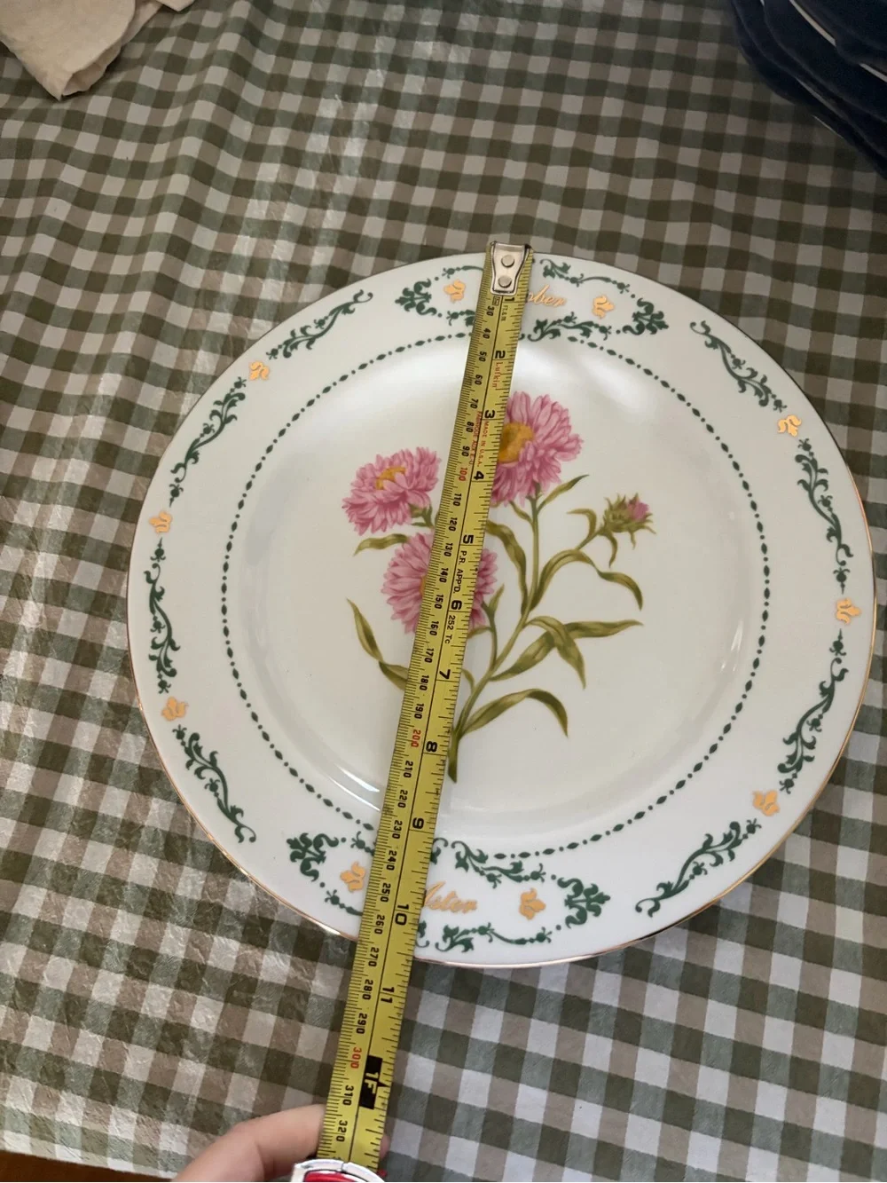 Domestication ceramic dinner